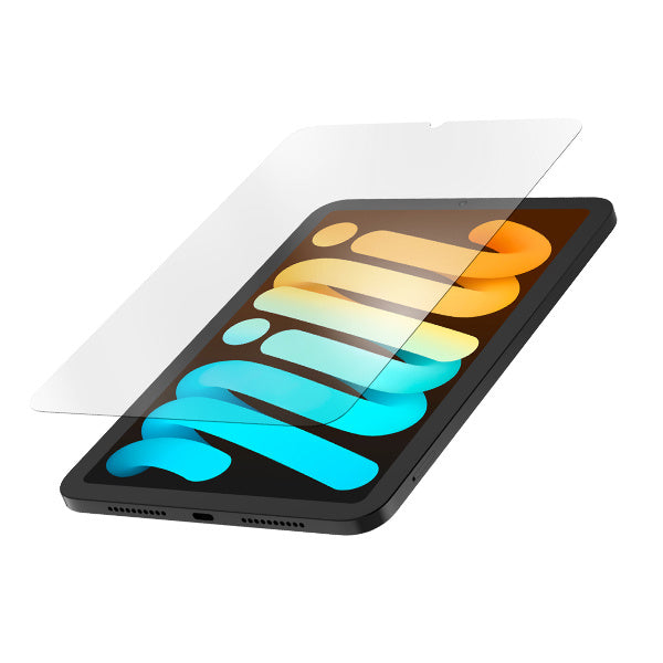SCRNPRTCT IPAD MINI