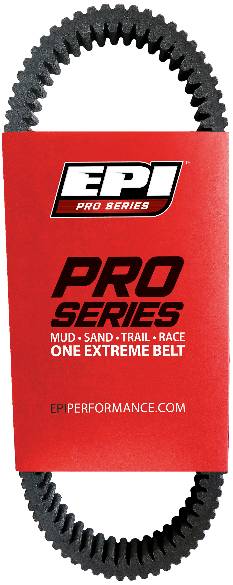 PRO SERIES BELT | PRO5031