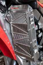 BILLET RADIATOR GUARD HON | 12-6021