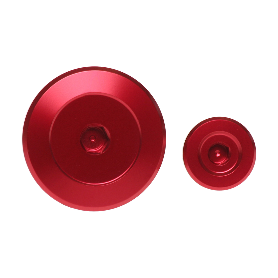 ENGINE TIMING PLUG SET RED YAM | FXEP 40300 99RD
