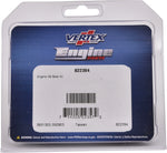 OIL SEAL KIT