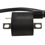EXTERNAL IGNITION COIL W/SPARK PLUG CAP