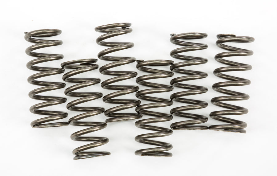 CLUTCH SPRINGS CSK221