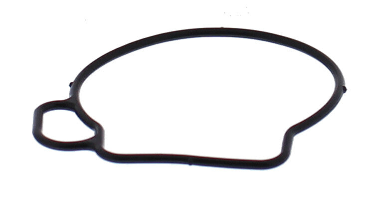 FLOAT BOWL GASKET ONLY | 46-5076