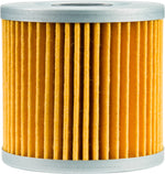 FP OIL FILTER 123 | PS123