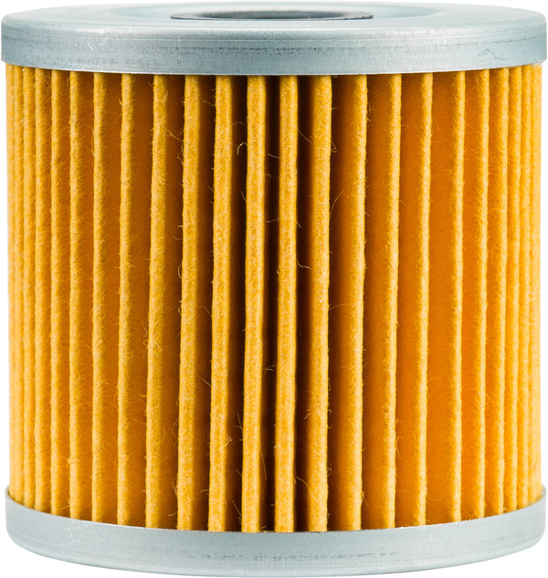 FP OIL FILTER 123 | PS123
