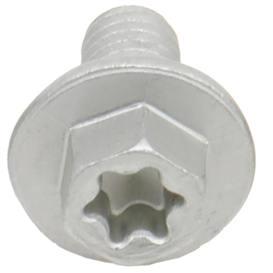EURO TORX LARGE FLANGE BOLT 6X.1.0X12MM 10/PK