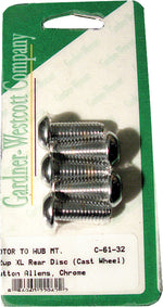 Brake Rotor Bolts