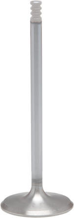 White Diamond Intake Valve