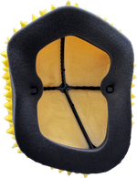 AIR FILTER PROLINE