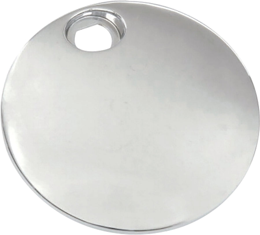 FUEL TANK CONSOLE DOOR CHROME | 301060