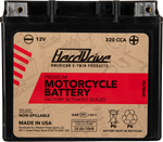 Premium Factory Activated Battery