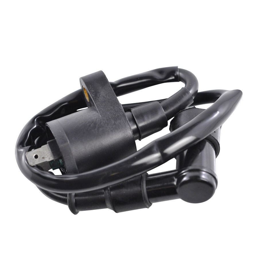 EXTERNAL IGNITION COIL W/SPARK PLUG CAP | RM06001
