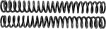 Scepter Spring