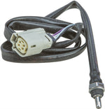 O2 Sensor