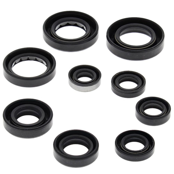 OIL SEAL SET | 822341
