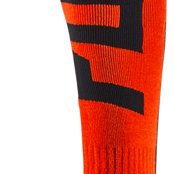 FRI THICK SOCK -