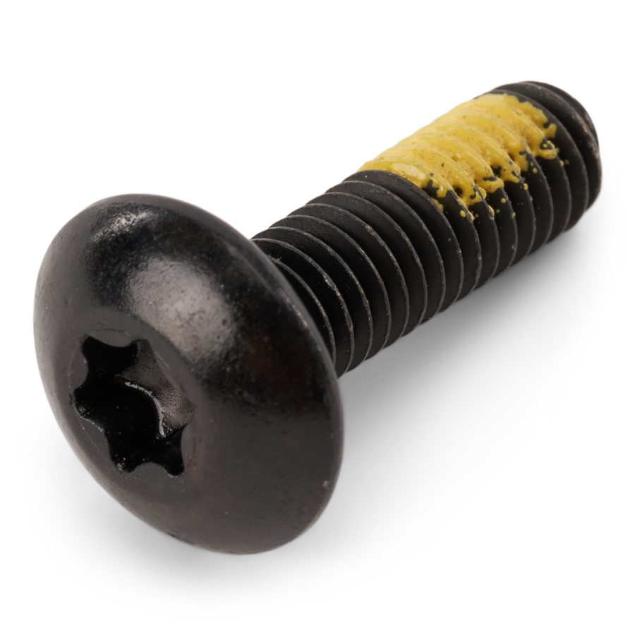 Torx Screw M6 X 20