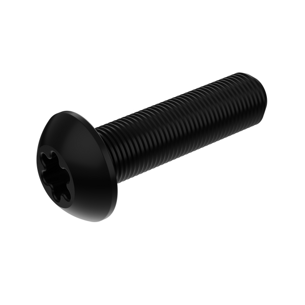 Torx Screw M6 X 25
