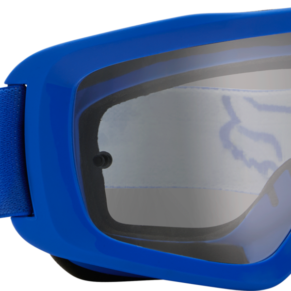 MAIN STRAY GOGGLE