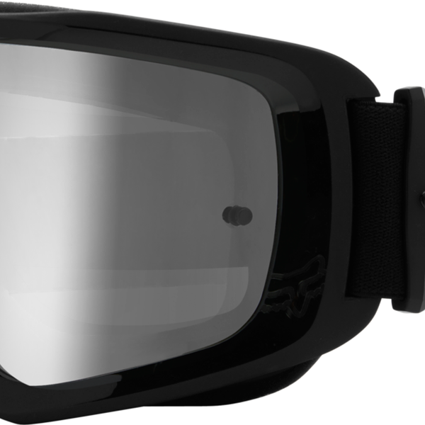 MAIN STRAY GOGGLE
