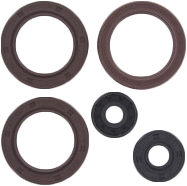ENGINE OIL SEAL KIT CAN | 822002