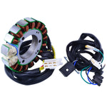 STATOR STATOR+PICKUP+CONNECTOR | RM01521