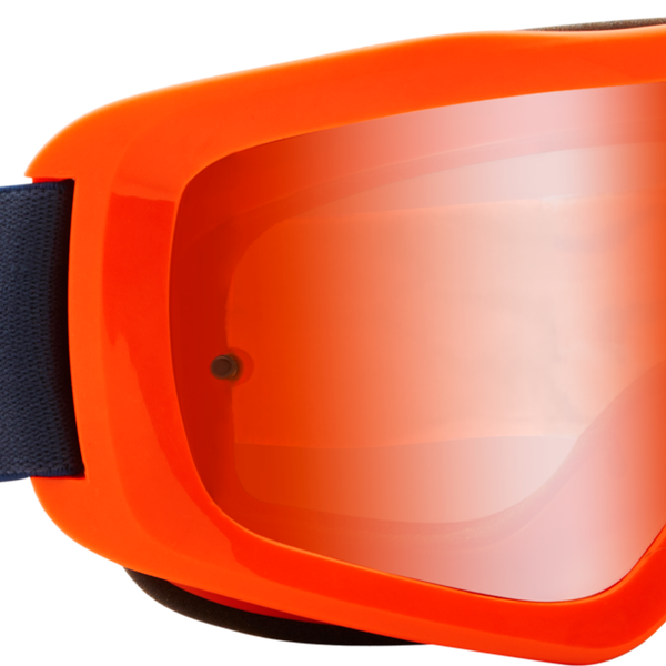 MAIN STRAY GOGGLE - SPARK