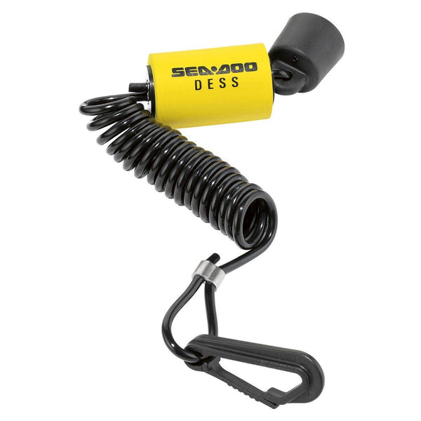 Programmable D.E.S.S.TM Key