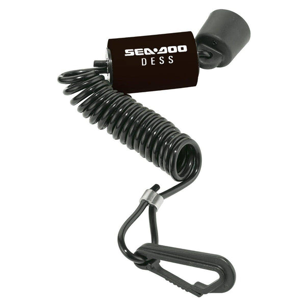 Programmable D.E.S.S.TM Key