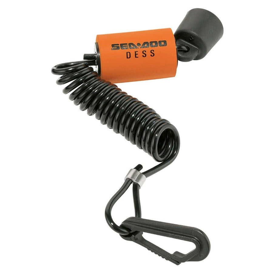 Programmable D.E.S.S.TM Key