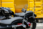 TALL SISSY BAR W/ PAD CHROME XL 04-22