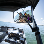 Rearview Mirror for Switch Pontoon