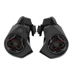 2x 80W Platinum Audio System Kit