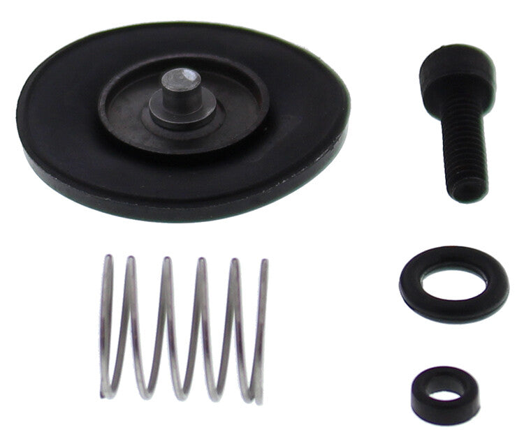 ACCEL. PUMP REBUILD KIT | 46-3006