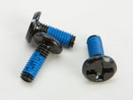 Visor Screws
