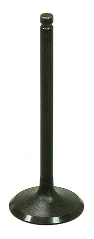 INTAKE VALVE