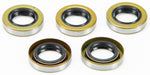 Evo Big Twin Starter Shaft Seal