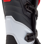 COMP BOOT