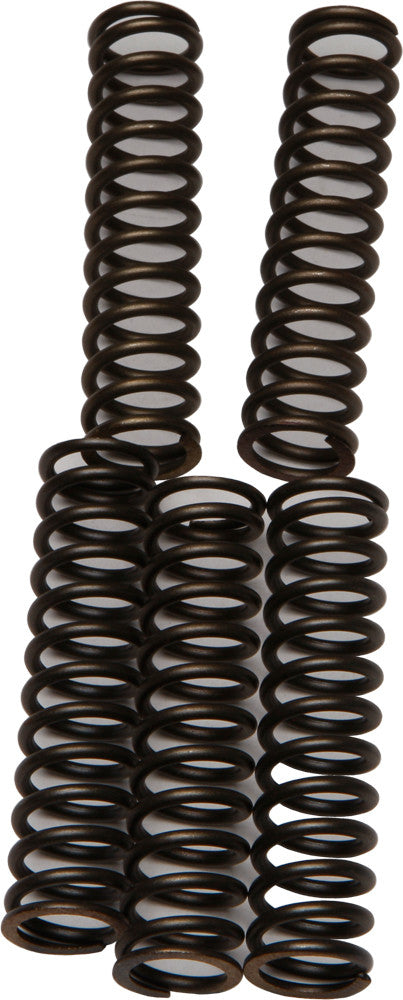 CLUTCH SPRINGS CSK110