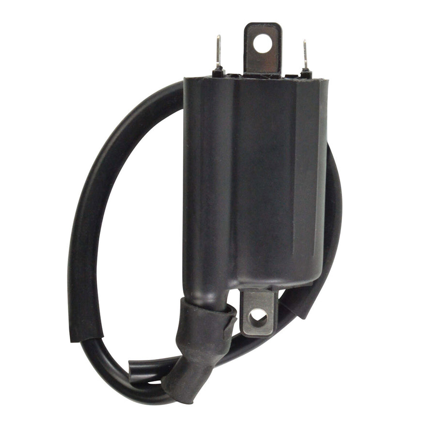 EXTERNAL IGNITION COIL | RM06163