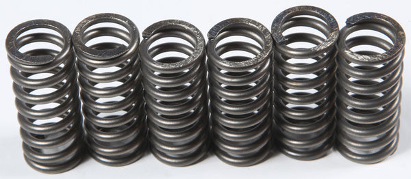 CLUTCH SPRINGS CSK210