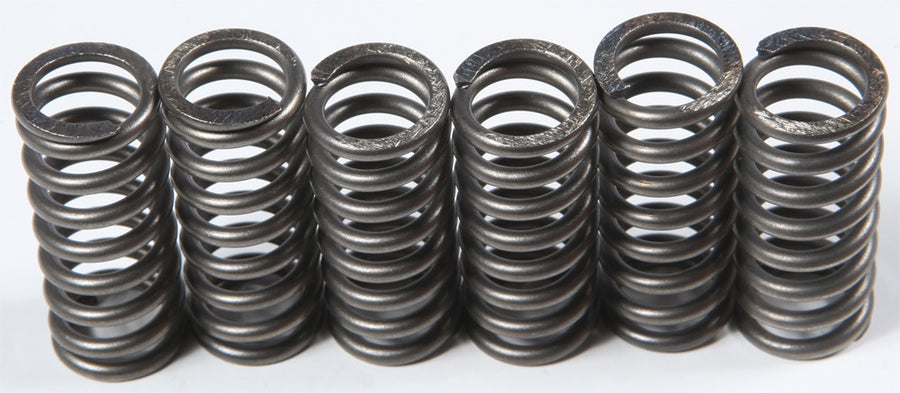 CLUTCH SPRINGS CSK210