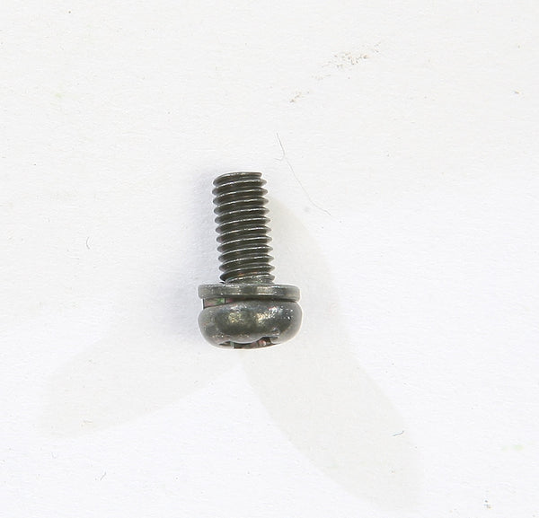 SCREW W/WASHER
