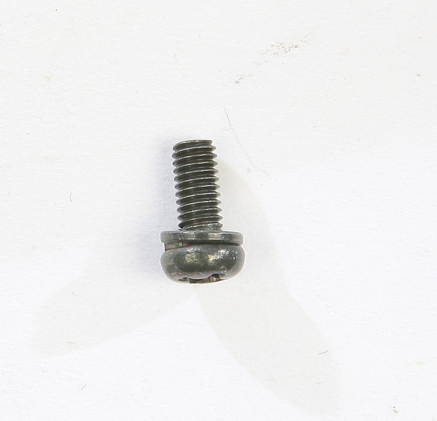 SCREW W/WASHER