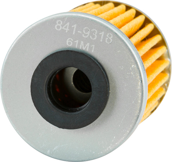 FP OIL FILTER 207 | PS207