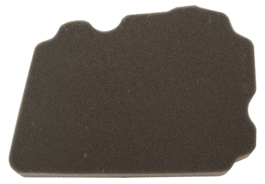 AIR FILTER | 12-94396