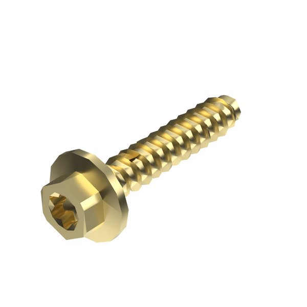 Torx Screw 6X30