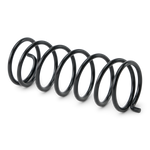 Compression Spring