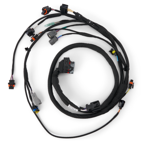 Engine Wiring Harness